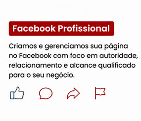 Facebook Profissional